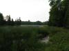 A swampy pond above the falls