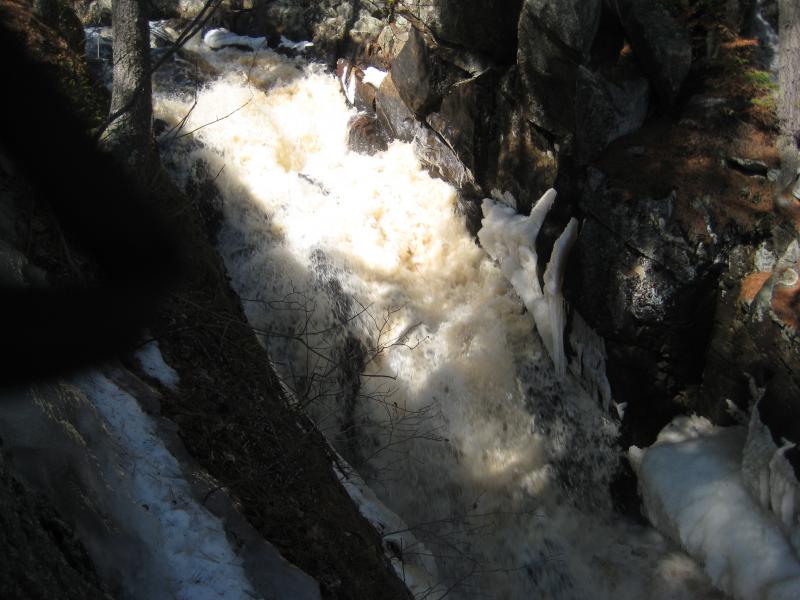 Rushing spring waters