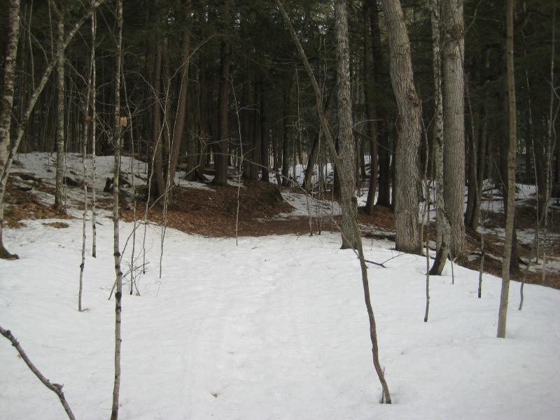 Little path over snow